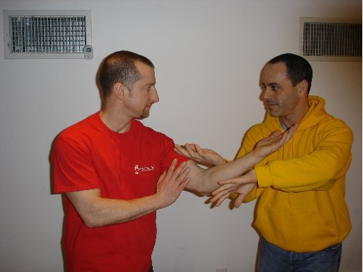 photo11.jpg